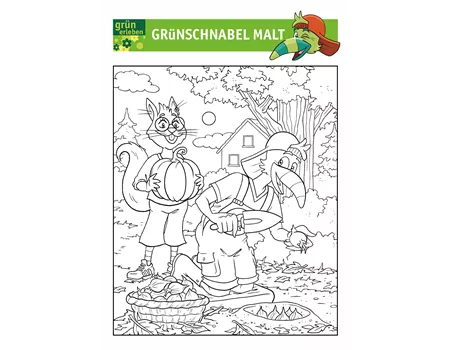 Grünschnabel Malvorlage 6 25