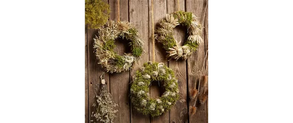 DEIN HERBST… GENUSS! DEIN HERBST… GENUSS!