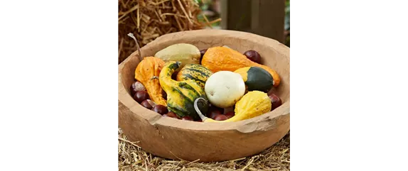 DEIN HERBST… GENUSS! DEIN HERBST… GENUSS!