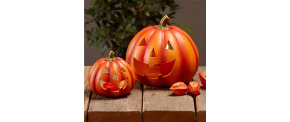 DEIN HERBST… GENUSS! DEIN HERBST… GENUSS!