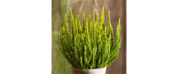 DEIN HERBST… GENUSS! DEIN HERBST… GENUSS!