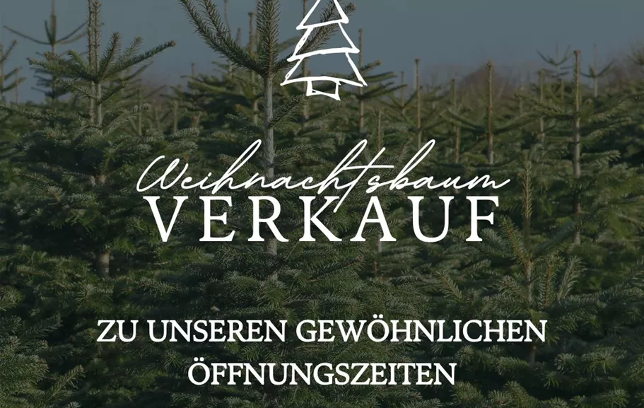 Weiß Dunkel Minimalistisch Weihnachtsbaum Verkauf Instagram Post.jpg