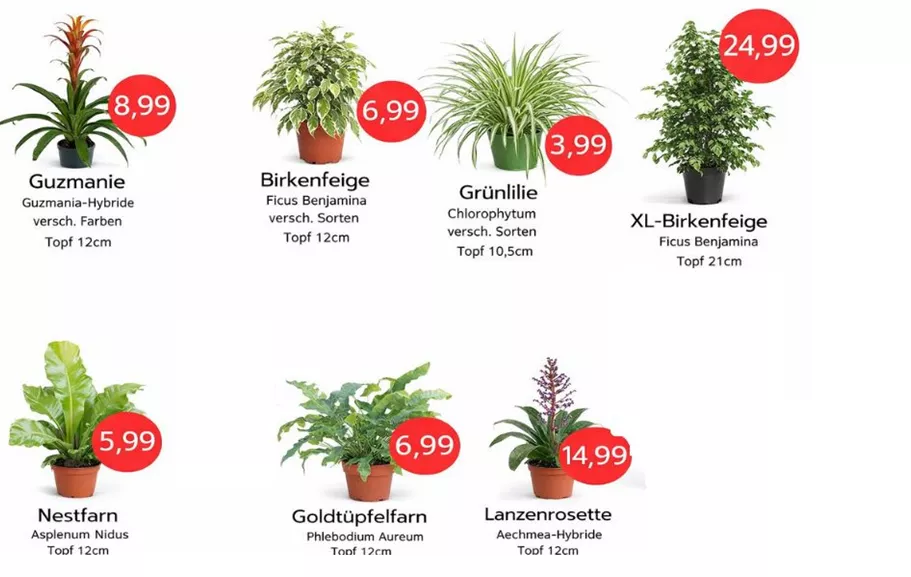 Angebot gesamt 1200x600(8).jpg