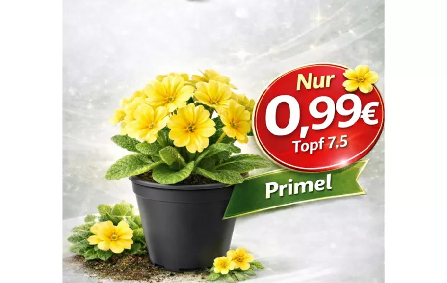 Design ohne Titel(50).jpg