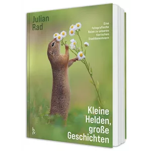 Buch des Monats: Oktober!