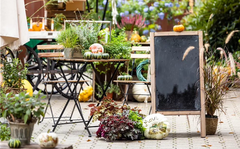 Verkaufsoffener Sonntag - Einladung zum Stettener Herbst