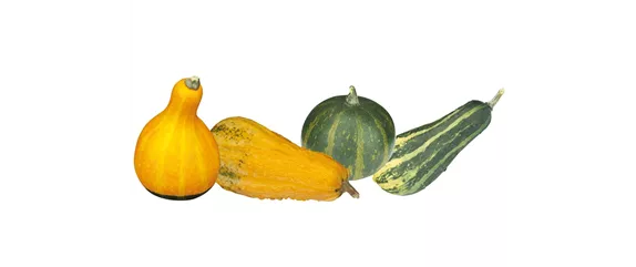 FARBEN VOLLER HERBSTGEFÜHL! 
