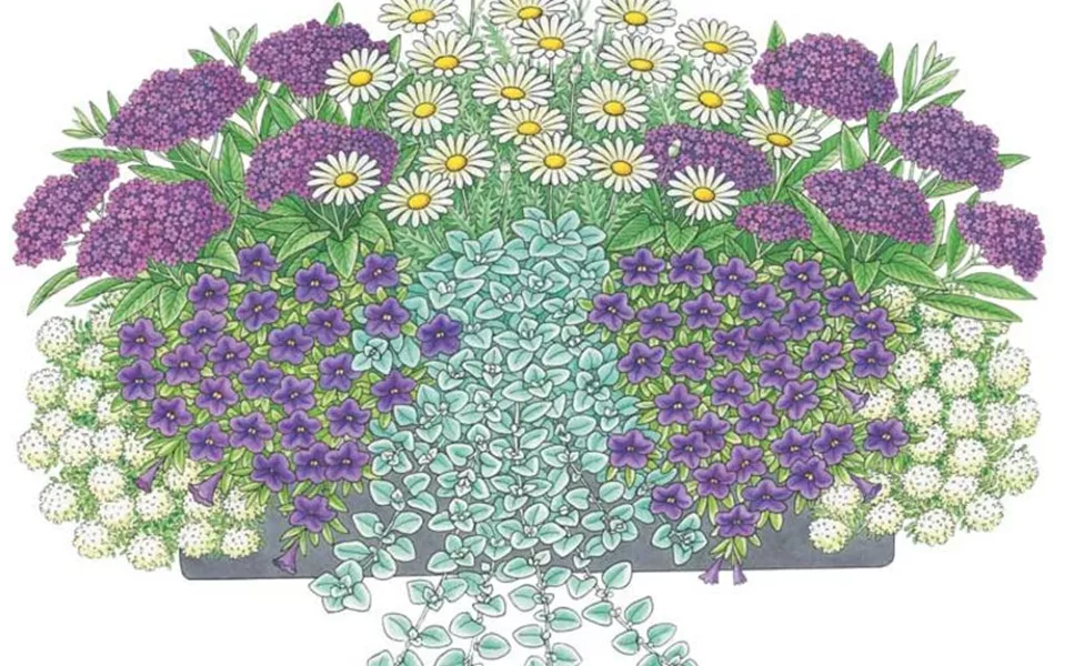 Neueröffnung - am 10.02.2023