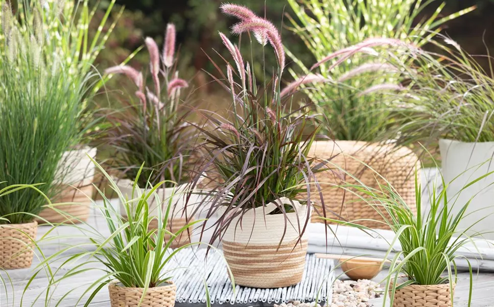 AUSSEN - PFLANZGEFäSSE FüR DEN GARTEN! AUSSEN - PFLANZGEFäSSE FüR DEN GARTEN!