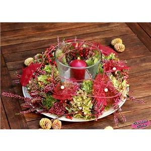 HEIDEWITZKA! HEIDEWITZKA!