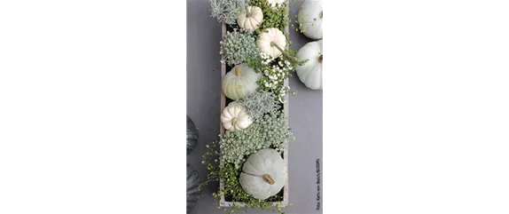 WIE GEHT...KÜRBIS FLORAL GESCHMÜCKT? WIE GEHT...KÜRBIS FLORAL GESCHMÜCKT?