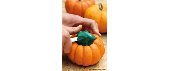 WIE GEHT...KÜRBIS FLORAL GESCHMÜCKT? WIE GEHT...KÜRBIS FLORAL GESCHMÜCKT?