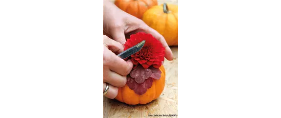 WIE GEHT...KÜRBIS FLORAL GESCHMÜCKT? WIE GEHT...KÜRBIS FLORAL GESCHMÜCKT?