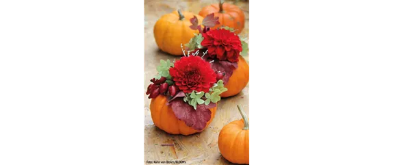 WIE GEHT...KÜRBIS FLORAL GESCHMÜCKT? WIE GEHT...KÜRBIS FLORAL GESCHMÜCKT?