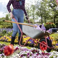 Frau bei der Gartenarbeit (GS619850.jpg)