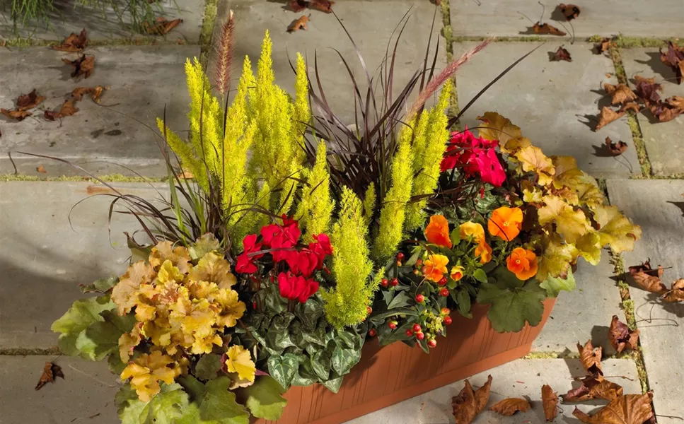 Balkon- und Umtopfservice - Eine unserer Stärken