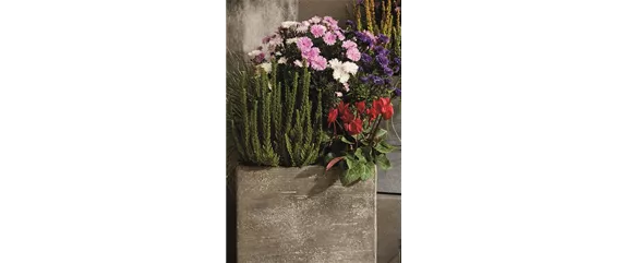 EIN KUNTERBUNTER HERBST!