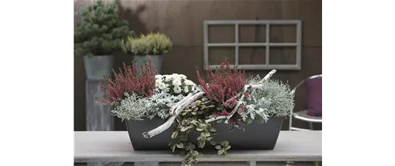 EIN KUNTERBUNTER HERBST!