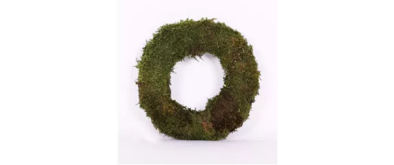 EIN KUNTERBUNTER HERBST!