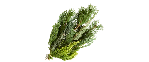 ADVENT, ADVENT – EIN KERZLEIN BRENNT! ADVENT, ADVENT – EIN KERZLEIN BRENNT!