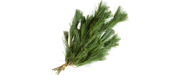 ADVENT, ADVENT – EIN KERZLEIN BRENNT! ADVENT, ADVENT – EIN KERZLEIN BRENNT!