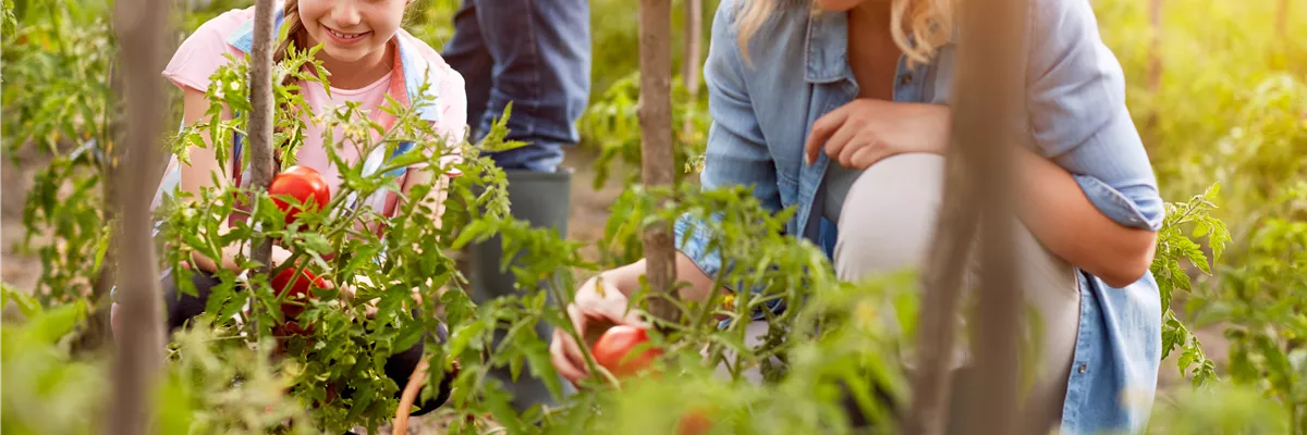 GESUND, GESüNDER, SELBSTVERSORGER!