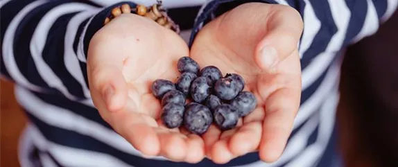KINDER SPIELERISCH IN DIE ERNTE EINBEZIEHEN KINDER SPIELERISCH IN DIE ERNTE EINBEZIEHEN