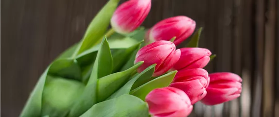 BUNTES OSTERFEST MIT FRüHLINGSBOTEN! BUNTES OSTERFEST MIT FRüHLINGSBOTEN!